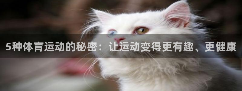 MK体育官方正版app集团:5种体育运动的秘密:让运动变得更