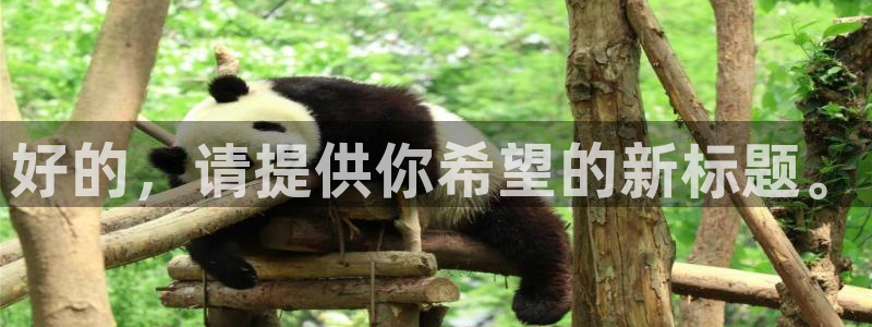 MK体育官方正版app五金厂:好的,请提供你希望的新标题。