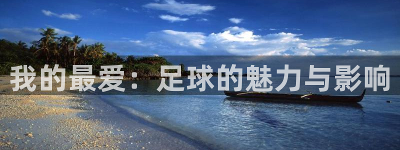 MK体育官方正版app新能源:我的最爱:足球的魅力与影响