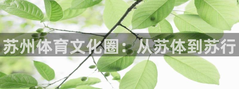 MK体育官网下载平台:苏州体育文化圈:从苏体到苏行