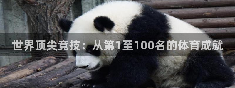 MK体育官网下载平台:世界顶尖竞技:从第1至100名的体育成