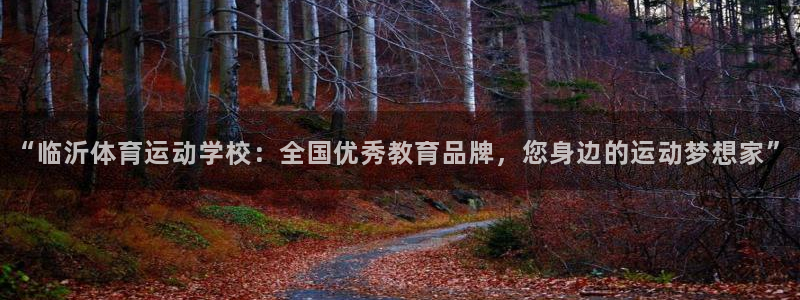 MK体育官方正版app娱乐是那个系列的台子:“临沂体育运动学